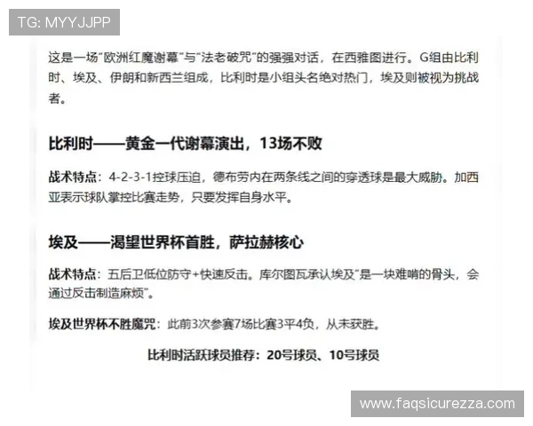 世界杯新西兰比利时比赛观赛注意事项及现场观看指南详解